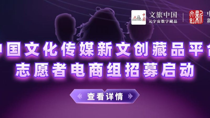 重型摄像机短视频拍摄，三脚架选型揭秘**