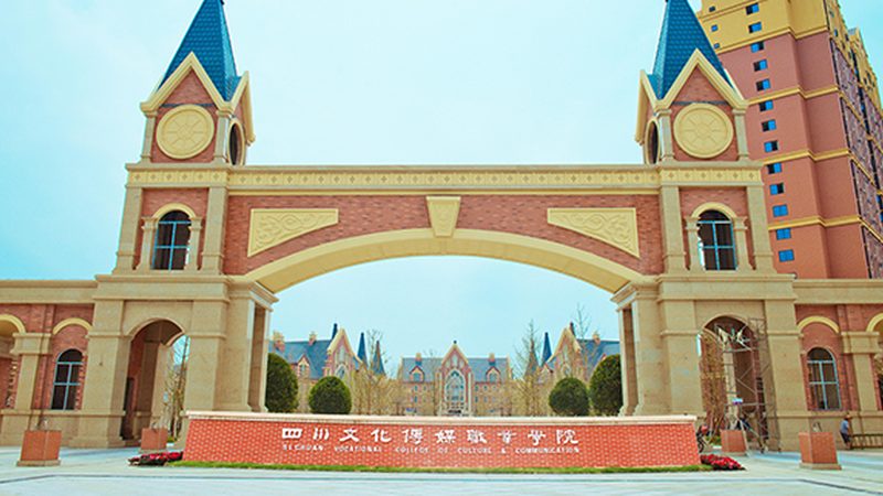 直播代运营服务，揭秘定制方案背后的关键要素