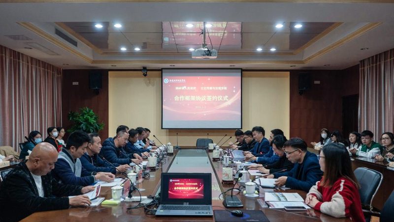 媒介投放合同规范指南：合规与风险防范**