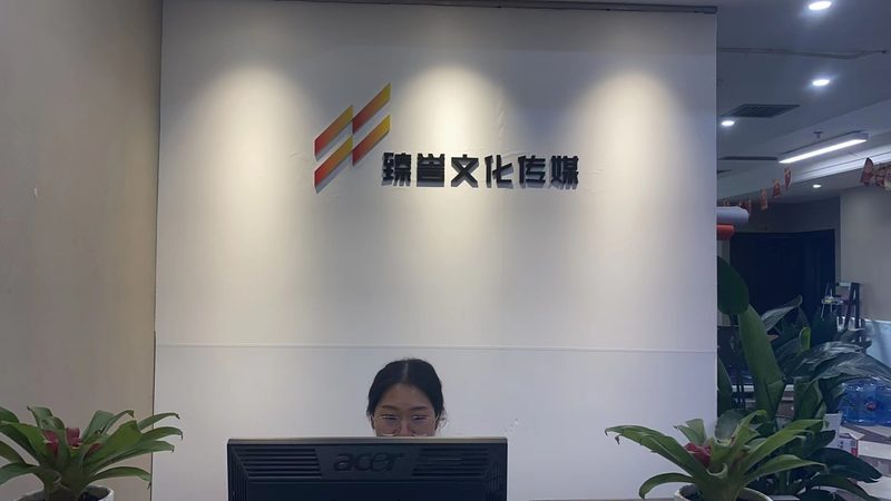 媒介投放案例报告：如何精准解析与优化**